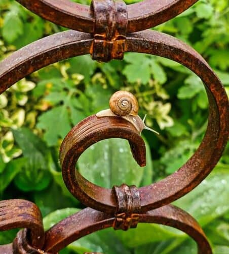rozsdás kerti dísz, dekoráció