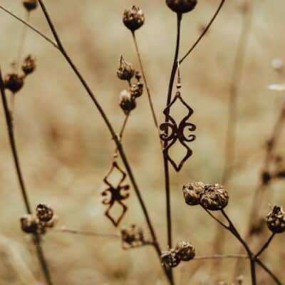 Image for choice number 1