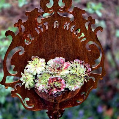 Image for choice number 1