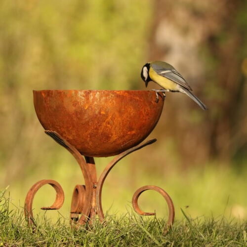 Csőrében madár egy rozsdás, kerek madáretetőn, természetes környezetben.